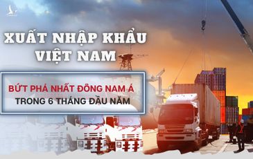 Xuất nhập khẩu Việt Nam 6 tháng đầu năm: Bứt phá nhất Đông Nam Á