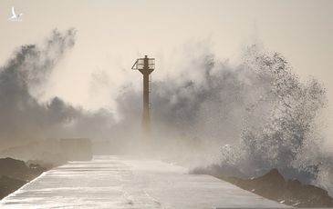 Nhật phát cảnh báo hiếm thấy về cơn bão “nguy hiểm nhất hành tinh”