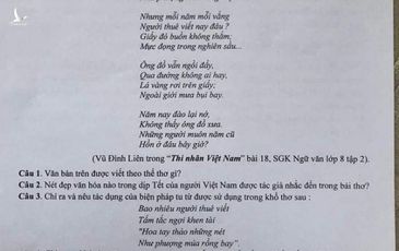 “Còn ăn Tết ta, đất nước còn nghèo” vào đề thi môn Ngữ Văn, tại sao không?