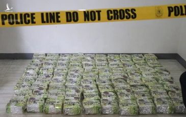 Vụ án 500 kg ma túy giấu trong túi trà gây chấn động thế giới