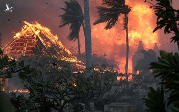 Thế giới 11/8: Cháy rừng thiêu rụi thị trấn nghỉ mát Hawaii, ít nhất 53 người chết