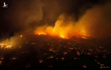 Sự thật bất ngờ về thảm họa cháy rừng ở Hawaii