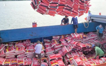 Ấn Độ tạm dừng xuất khẩu gạo, “hạt lộc trời” Việt Nam đứng trước cơ hội vàng?