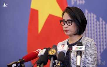 Bộ Ngoại giao nói gì về việc một nhóm người Philippines xé cờ Việt Nam?