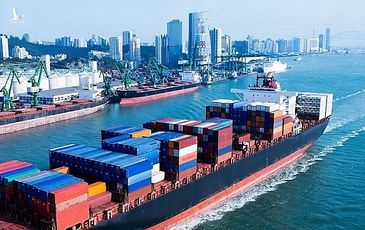 “Báu vật” xuất khẩu của Việt Nam vừa lập kỷ lục lịch sử