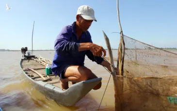 Lũ miền Tây đang lên nhanh, khả năng lên trên mức báo động 1