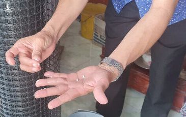 Phát hiện một loại gạo bất thường nghi là gạo giả