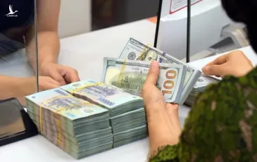 Cơ quan thuế đã rà soát 164.661 người nộp thuế bán hàng qua thương mại điện tử, truy thu 747 tỷ đồng