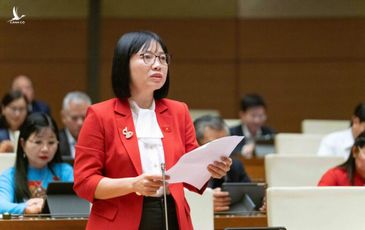 Viên chức ‘chân trong, chân ngoài’: Có nên vừa làm lãnh đạo vừa làm giám đốc