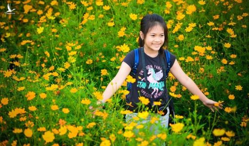 Lá thư cô bé lớp 6 lay động, nhiều hiệu trưởng sẽ tổ chức ngày khai giảng ‘không bóng bay’