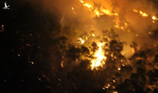 Cháy núi Bà Hỏa giữa đêm, hàng trăm hộ dân Quy Nhơn hoảng loạn