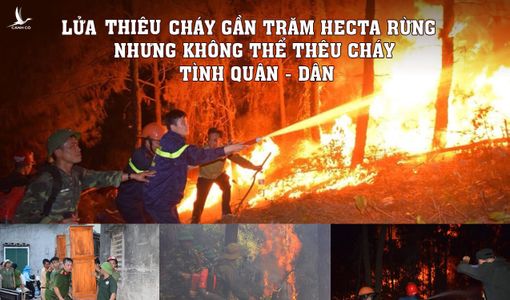 Hà Tĩnh: Lửa cướp gần trăm hecta rừng, nhưng không thể thiêu cháy tình quân dân