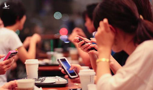 Cái vỏ ốc và tầm nhìn phản biện