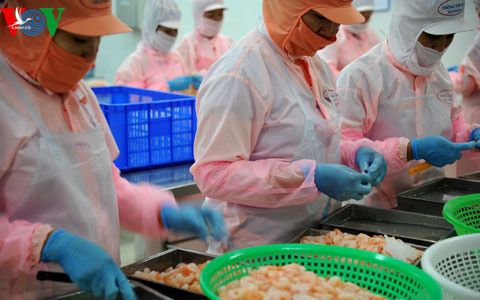 EVFTA và IPA: Doanh nghiệp không chịu đổi mới, sáng tạo sẽ thất bại