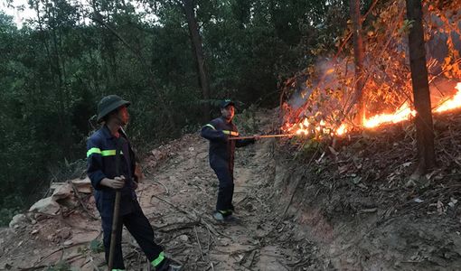 Hơn 200 người dập lửa cứu cháy rừng đầu nguồn ở TP.Đà Nẵng
