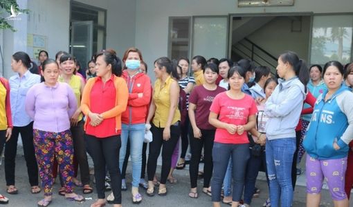 TP HCM quyết liệt xử lý doanh nghiệp nợ BHXH