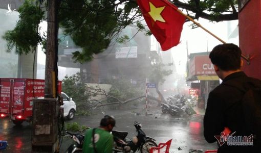 Giông lốc bất ngờ ‘đánh úp’, giật chẻ đôi cây giữa phố Hà Nội