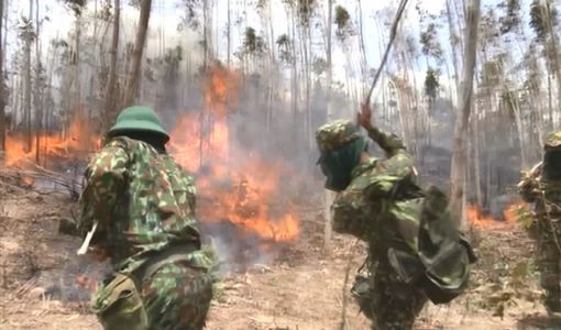 Hàng trăm cán bộ, chiến sĩ tham gia chữa cháy 50 ha rừng Phú Yên