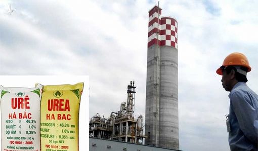 ‘Cánh chim đầu đàn’ Đạm Hà Bắc lỗ lũy kế vượt vốn sở hữu