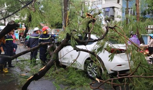 Xót xa thanh niên bị cây đè trong cơn giông khủng khiếp chiều nay