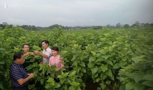 Nữ bí thư xã ‘2 trong 1’ xắn quần cuốc đất, tặng tiền cho dân