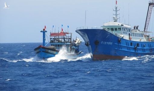 Tàu cá Bình Định bị tàu Trung Quốc truy đuổi trái phép tại khu vực Trường Sa