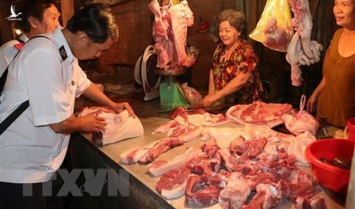 Giá thịt lợn hơi tăng mạnh sau thời gian ảnh hưởng dịch tả châu Phi