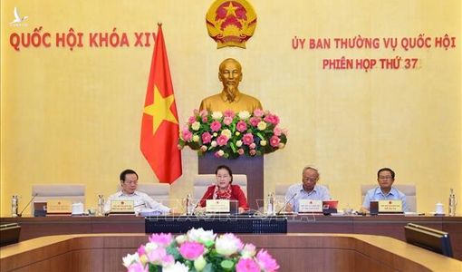 Cho ý kiến về dự án Luật sửa đổi, bổ sung một số điều của Luật Ban hành văn bản quy phạm pháp luật