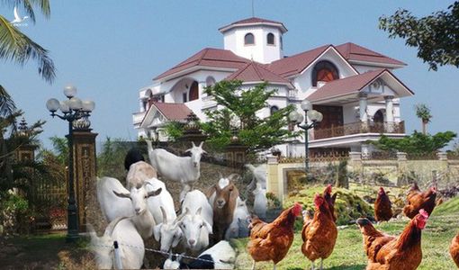 Cụ bà 80 trả lại sổ hộ nghèo và chuyện nghèo sang, giàu hèn 