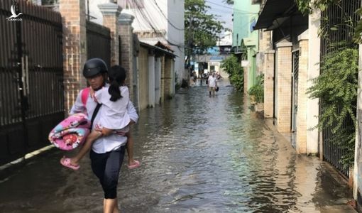 Triều cường đạt mức lịch sử, Cần Thơ cho học sinh nghỉ học