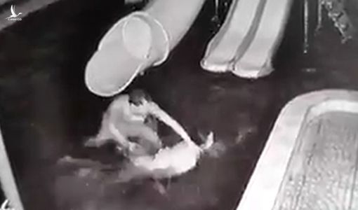 Để bạo lực gia đình không chỉ còn là câu chuyện… hòa giải