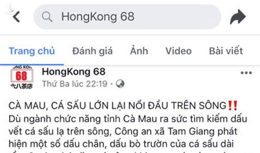 Fanpage quán trà sữa đăng thông tin cá sấu xuất hiện ở Cà Mau để câu like