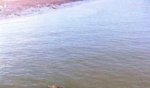 Sau lũ, dân Hà Tĩnh hoảng hồn phát hiện cá sấu lớn như thùng sơn bơi trên sông