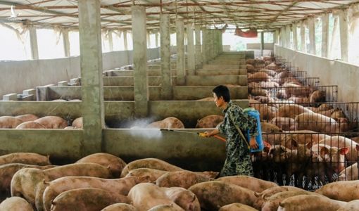 Trung Quốc cúi đầu trước Mỹ vì kinh tế trong nước lao đao?