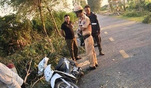 Cưa bạch đàn khiến cây đổ đè nữ sinh thiệt mạng