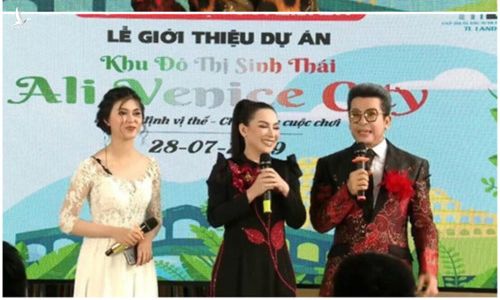 Sao Việt lên tiếng sau vụ CEO địa ốc Alibaba bị bắt