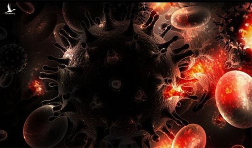 Tìm thấy biện pháp ‘vô hiệu hoá’ virus HIV