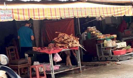 Chính quyền khuyên bỏ ăn thịt chó, dân TP.HCM nói gì?
