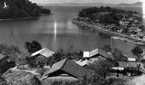 Ký ức đau buồn do thủy ngân gây ra ở Nhật Bản và bài học cho Việt Nam