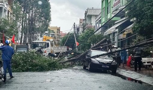 Trụ điện gãy đôi, đè trúng ô tô biển xanh đưa đón Bí thư Thành ủy Vị Thanh, Hậu Giang