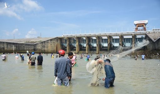 Thủy điện Trị An ngưng xả tràn, dân leo mỏm đá bắt cả bao tải cá