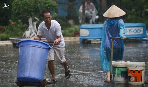 Vụ nước sông Đà nhiễm dầu thải: Xử nghiêm để lấy lại niềm tin của dân