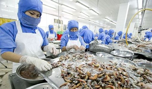 Việt Nam mới thoát nghèo, năng suất lao động thấp, có nên tính chuyện giảm giờ làm?