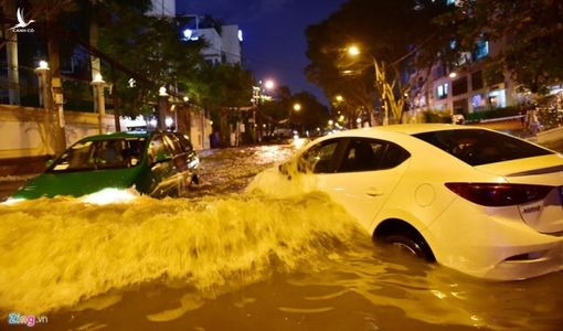 Vì sao Thảo Điền ngập nhất, ô nhiễm nhất?