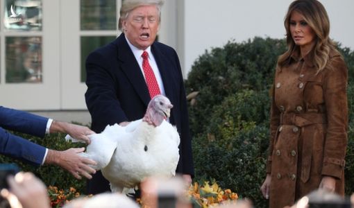 Ông Trump: ‘Tới gà lôi còn sợ phe Dân chủ’