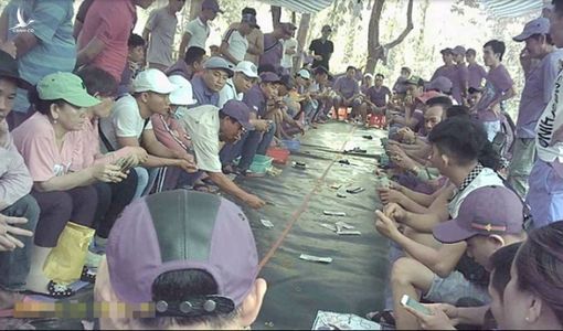 Đại sới bạc giữa rừng: Đừng nói là không biết
