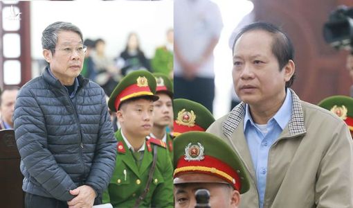 Ông Tuấn nhận cái kết đắng cay, Ông Son xin ‘được sống’
