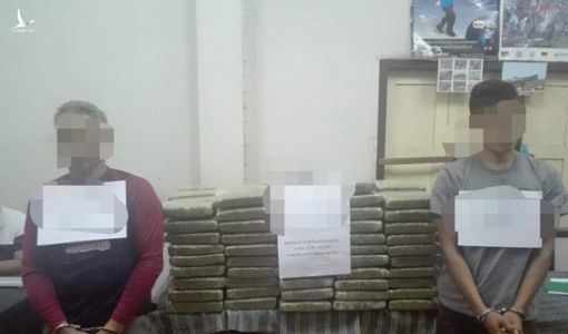 Phát hiện vụ vận chuyển ma túy và cần sa khô số lượng lớn