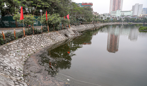 Hà Nội: Nước hồ Văn Quán chuyển màu đen kịt, nổi váng, cá chết bốc mùi hôi thối sau ngày tiễn ông táo về trời