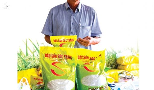 ST25 của Việt Nam được vinh danh gạo ngon nhất thế giới